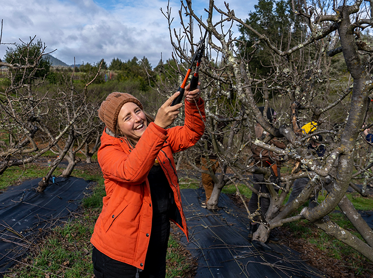 A woman, wearing an orange coat and a brown hat, prunes trees in SRJC’s Shone Farm orchard.