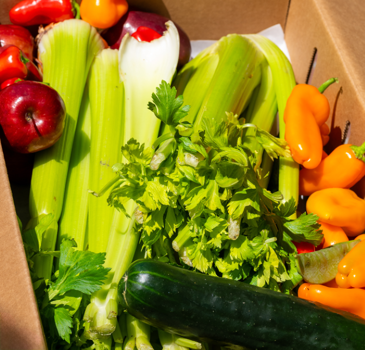 A bunch of veggies in a box, including celery, mini bell peppers, a cucumber, and red apples.