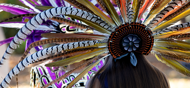 A close-up on a feathered headdress worn by a female Aztec Dancer with long brown hair. 